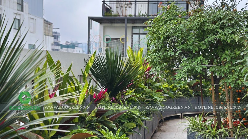 Ý tưởng sân vườn cho không gian nhỏ